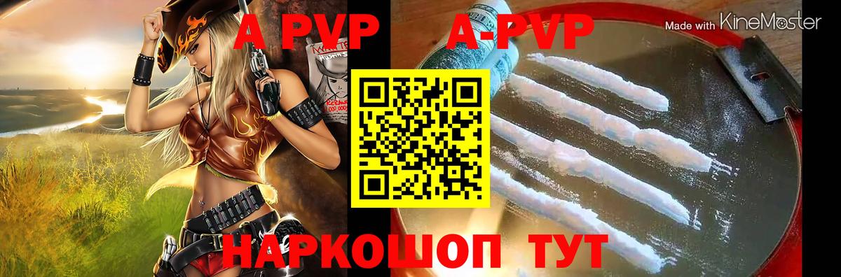 A PVP СК Кандалакша